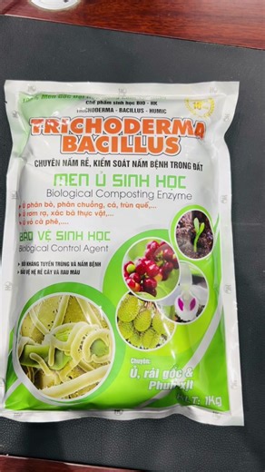 VTNN ÂN PHÚ trên TikTok