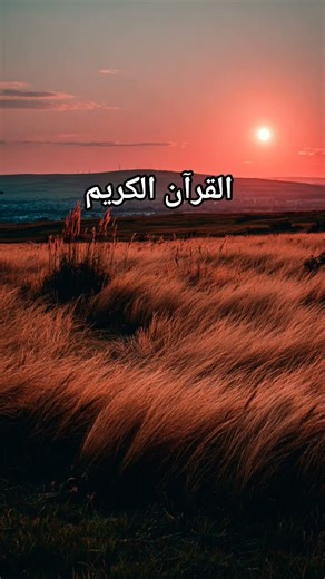 Surah Maryam English translation #allah #quran #englishrecitation #sadafanddaughters