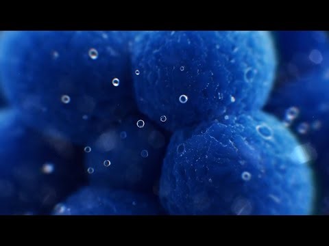 Cell Division Logo Reveal