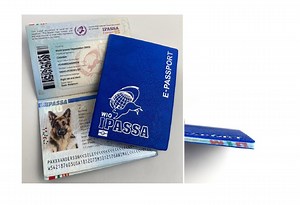 Pet Passport - Anmial Passport - Etsy