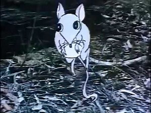 Dot's Kangaroo Pouch Ride To The Watering Hole