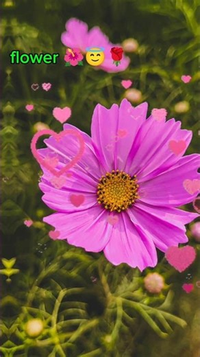 #Flower Status🌺🌺#2026 #nature