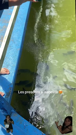 Le pica el culo #paratiiiiiiiiiiiiiiiiiiiiiiiiiiiiiii #pinchetiktokponmeenparati