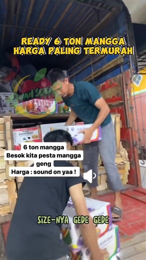 Ready 6 Ton Mangga Harga Paling TerMurah‼️ Yuk yuk kalian yang mau mulai ber BISNIS, langsung gasss ORDER per DUS ataupun per PETI ya guyssss ATAU Mau utk bagi2 dengan keluarga juga bisa banget dong😁 Jauh Lebih Hemat tapi dapat banyak berbagai Jenis Mangga dengan Kualitas Premium😍😍 SEGERA chat dan isi format ORDER ke wa admin ya weee😎😉 . . . ✨Belanja Buah Mudah, Diantar Sampai Rumah✨ . ☑️Order dan tanya langsung ke wa 0821-7059-7868 ( ada di bio ) ☑️DISKON ONGKIR kurir 15rb minimal belanja 