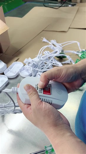 wonder gas alarm on TikTok