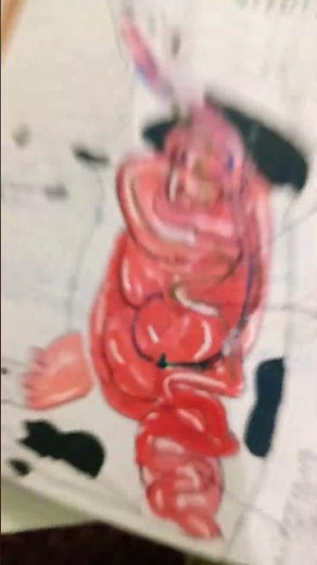 digestion in ruminant ##artwork ##youtubeshorts