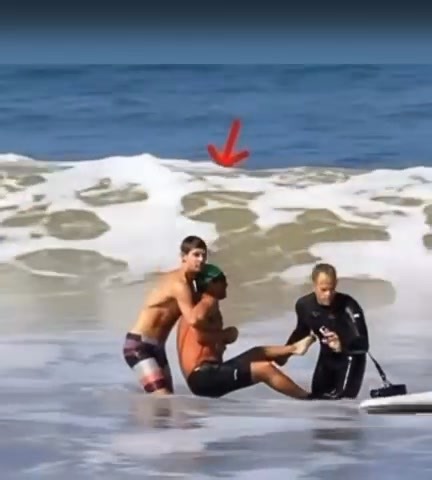 3.1K views | LEGEND LOST Iconic actor has died today after being mauled to death in a shark attack. The video is hard to watch: Check the first comment ⤵️⤵️ | Service & Sacrifice | Facebook