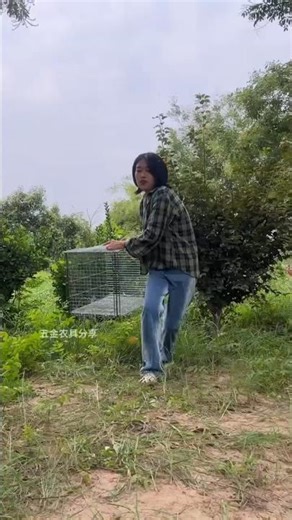 🕊️ Healing Village Life | Watching Pigeons in Nature 🌿 #villagelife #nature #birds