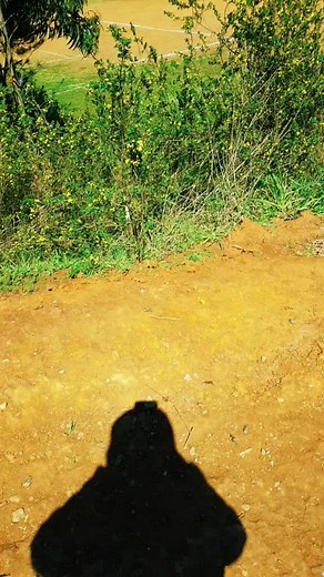 Exploring Nature: A Scenic Walk in the Countryside