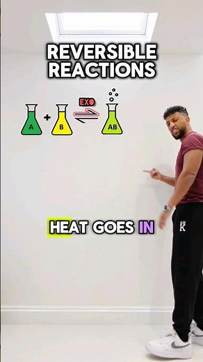 GCSE Chemistry - Equilibrium Rap