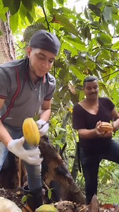 Desde mi finiquita los invito este viernes 02 de mayo a @lovera_disco | Enmanuel Garcia