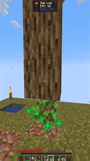 Magic Sapling #moddedminecraft #minecraft #gaming