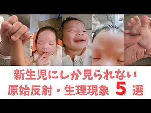 【原始反射】新生児の時にしか見られない赤ちゃん特有の原始反射や生理現象などの反応を紹介！/生後１ヶ月ベイビーのパパ育児
