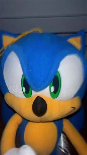 SONIC WHAT ARE U DOING?! #sonic #sonicplush #plushcontent #fyp #sonicspeed