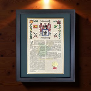 Spanish Coat of Arms Last Names Surnames Family Crests Genealogy History Ancestry Hispanic Heritage Gifts - Etsy