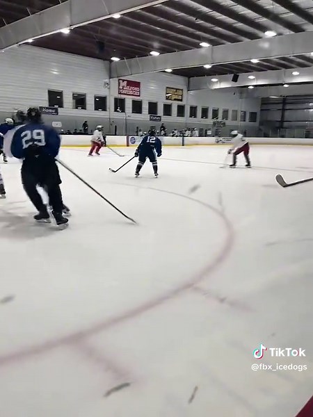 Ice Dogs Camp: Future Stars Showcased in Michigan