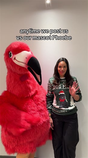 Meet Phoebe: Our Adorable Flamingo Mascot at Work