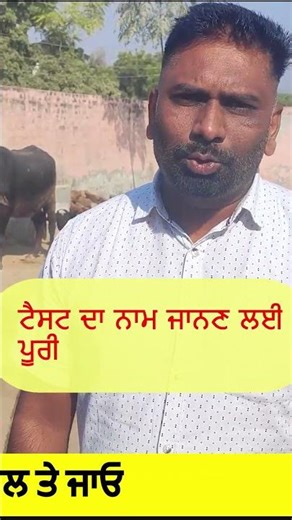 MASTITIS ❌ Serious milk disease | Must see a veterinarian #animalhealth #farming #pashupalan