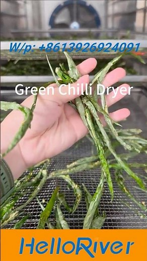 Industrial Spice Dryer - Large-Scale Heat Pump Dryer for Chilies, Peppers & Agricultural Products