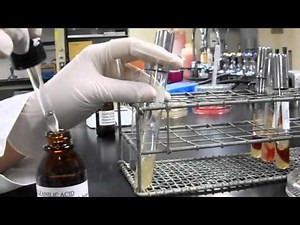 Nitrate reduction demonstration