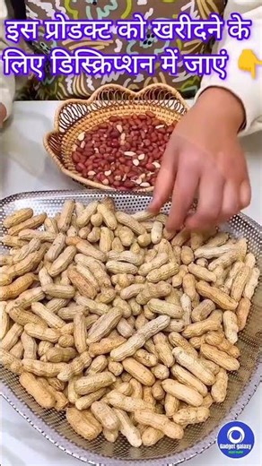 Natural Manual Peanut Shell Peeler Machine | Nut Cracker with Storage Container & Hand Crank