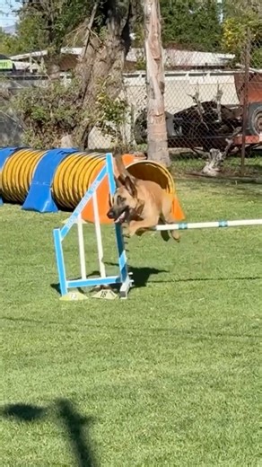 12K views · 521 reactions | Speed and power can be a friend or foe....