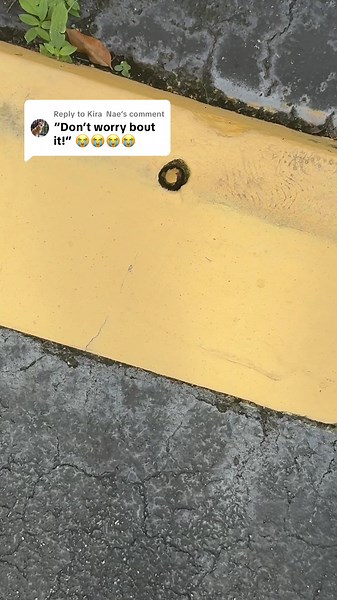 Effective Ant Control Tips That Really Work