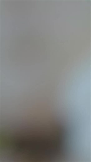 🚨🚨🚨 INVENTORY ALERT! 🚨🚨🚨 🐰🐰🐰 ITS THE LARGEST ANIROLL WE'VE EVER BROUGHT INTO OUR STORE! BUNNIROLL IS READY FOR HUGS!🐰🐰🐰 It's a difficult choice to make! Giant plush or 1/1 Hatsune Miku! Go Grabbit! 🐰#arcade #clawmachine #hatsunemiku #anirollz