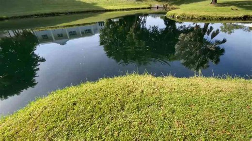 What happens when invasive fish take over your pond