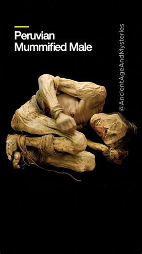Chimu Mummy of Northern Peru: 700-Year Preservation Mystery