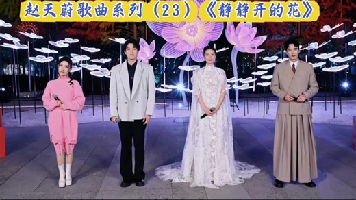 赵天蔚歌曲系列（23）《静静开的花》2024年央视跨年晚会