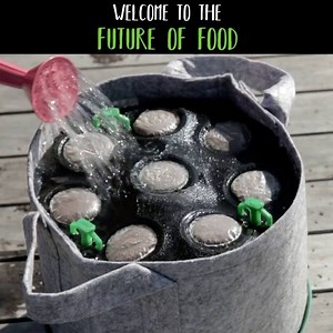 43 reactions · 17 shares | ‍ No green thumb? No problem! Your...