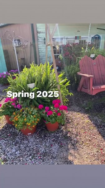 21 reactions | 1st Load of Color for Spring 2025 | Calla Lily Garden Center | Facebook