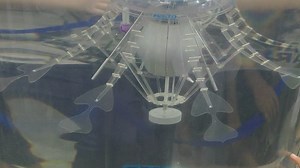 终于看见了Festo仿生水母——2019世界机器人大会