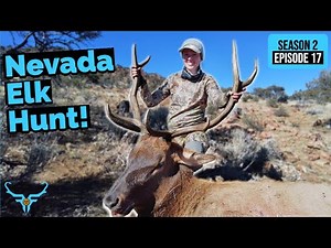 Late Season Bull Hunt - This Hunt Pushed our Limits