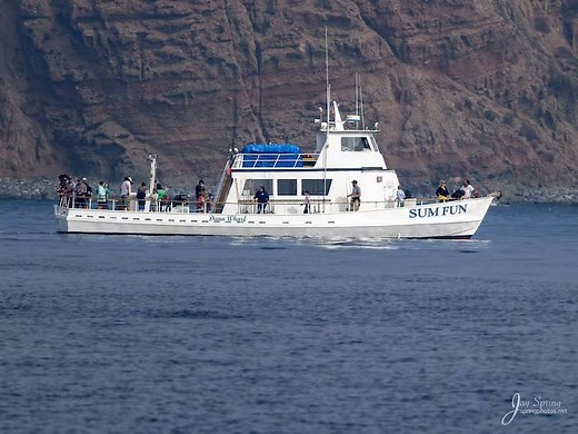 Sum Fun | Dana Wharf