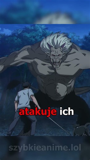 Anime o kocie I Ninja. #anime #animepolska