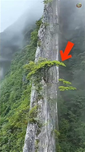 2 Alien-Looking Places That Actually Exist on Earth! 😱 #fyp #shorts #facts