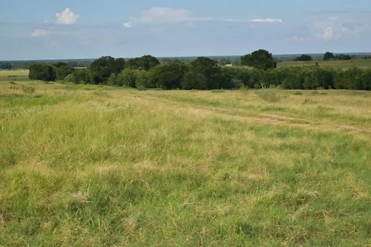 12 reactions | Texas hunting lease now available on HLRBO! Deer, Hog...