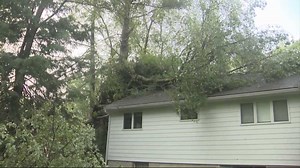 Severe weather uproots trees, damages homes