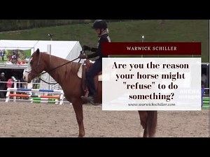 YOU could be the reason your horse might "refuse" to do something