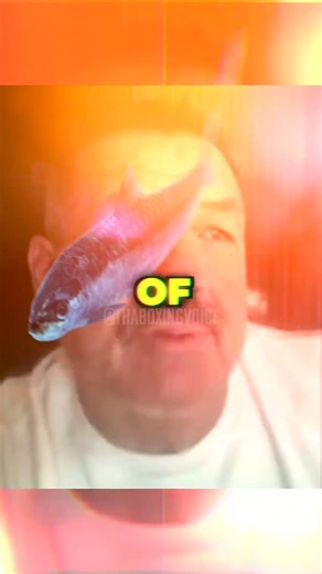 TIM TSZYU VS. ERROL SPENCE- ITS BEEN OFFERED & DISCUSSED. WILL IT HAPPEN NOW THAT TSZYU LOST?