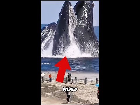 - 10 World’s Most Amazing Animals (Getting Crazier Towards The End) | Animal Facts #top10animals