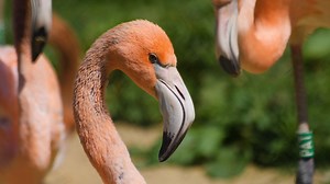 Test Footage - Panasonic Lumix DC-GH5