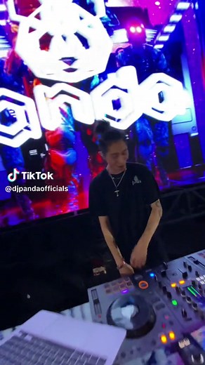 DJ Panda: Unleashing the Beat with Ms. Pacman