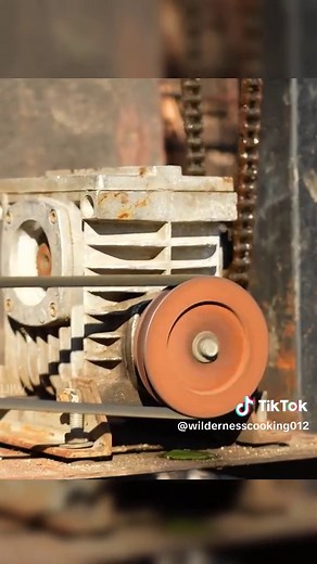 Roasted Double Humped Camel: A Unique Culinary Experience