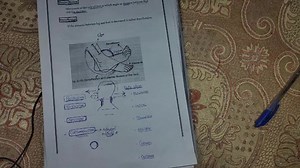 19K views · 1.4K reactions | Body Planes | Up Teaching Academy | Facebook