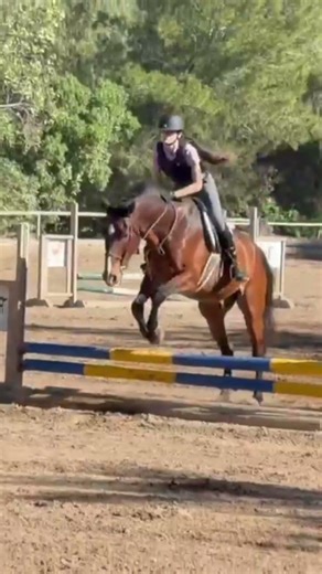 my new fav jump omg 🥹✌️ #horse #equestrian #fypシ