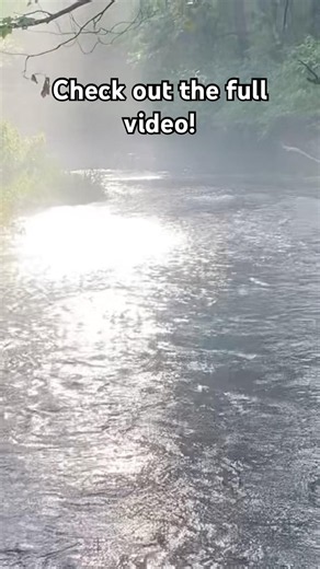Small Stream Fly Fishing for Summertime Wild Brown Trout!