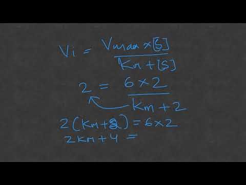 How to Calculate Enzyme Km using Michaelis Menten Equation